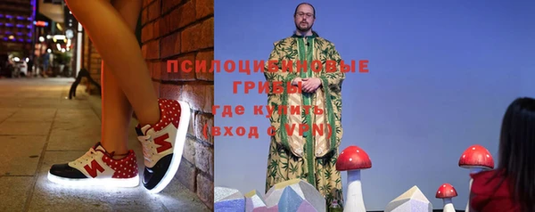 крисы Алзамай
