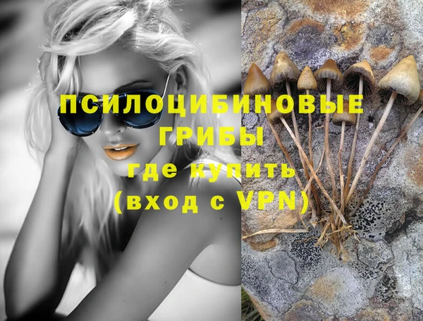 a pvp Алексеевка