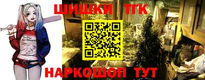 молекула духа Лесосибирск