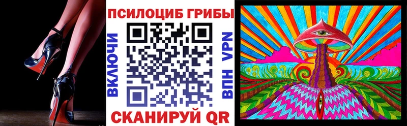 Псилоцибиновые грибы Psilocybe  дарнет шоп  Чистополь 