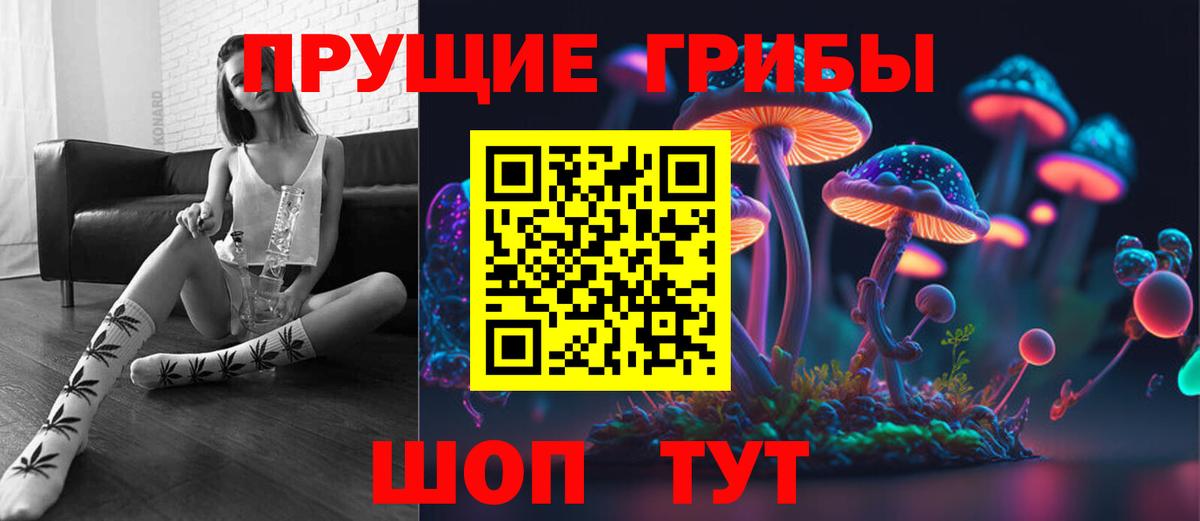Псилоцибиновые грибы Psilocybe  Вход с VPN  Чистополь 